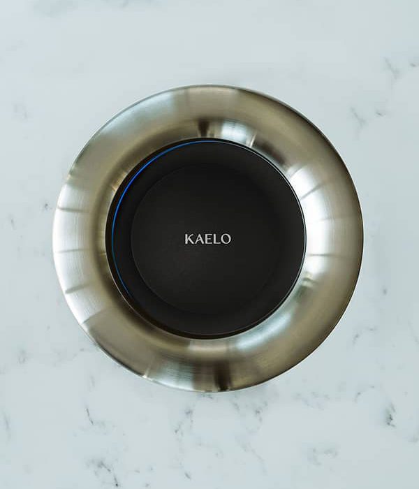 Stainless Steel Brushed