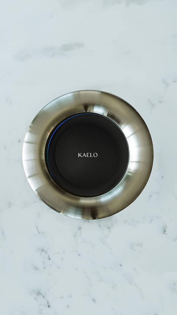 Stainless Steel Brushed
