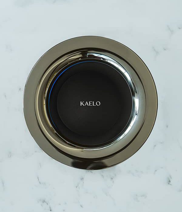 Stainless Steel Polished